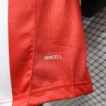 camiseta-chivas-de-guadalajara-primera-equipacion-version-jugador-2024-2025-drycell