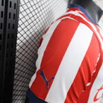 camiseta-chivas-de-guadalajara-primera-equipacion-version-jugador-2024-2025-puño-derecho