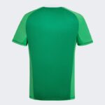 Camiseta-argentina-aniversario-estilo-retro-50-años-2024-2025-parte-trasera Camiseta-argentina-aniversario-estilo-retro-50-años-2024-2025-parte-trasera