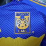Camiseta-tigre-segunda-equipacion-version-jugador-2024-2025-escudo