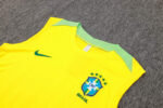 Conjunto de Entrenamiento Brasil Amarillo 2024-2025 puño