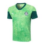 Conjunto de Entrenamiento Palmeiras Verde 2024-2025