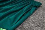 Conjunto de Entrenamiento Palmeiras Verde 2024-2025 bolsillo Conjunto de Entrenamiento Palmeiras Verde 2024-2025 bolsillo