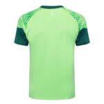 Conjunto de Entrenamiento Palmeiras Verde 2024-2025 dorsal Conjunto de Entrenamiento Palmeiras Verde 2024-2025 dorsal