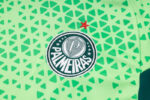 Conjunto de Entrenamiento Palmeiras Verde 2024-2025 logo Conjunto de Entrenamiento Palmeiras Verde 2024-2025 logo