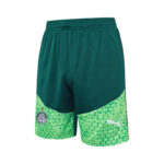 Conjunto de Entrenamiento Palmeiras Verde 2024-2025 parte delantera pantalon corto