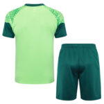 Conjunto de Entrenamiento Palmeiras Verde 2024-2025 parte trasera