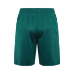 Conjunto de Entrenamiento Palmeiras Verde 2024-2025 parte trasera pantalon corto