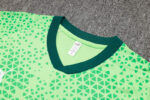 Conjunto de Entrenamiento Palmeiras Verde 2024-2025 pecho Conjunto de Entrenamiento Palmeiras Verde 2024-2025 pecho