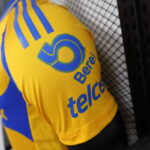 camiseta-tigre-primera-equipacion-version-jugador-2024-2025-puño-izquierdo camiseta-tigre-primera-equipacion-version-jugador-2024-2025-puño-izquierdo