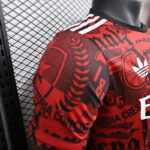 Camiseta Arsenal Version Jugador Edicion Especial 2024-2025 puño derecho