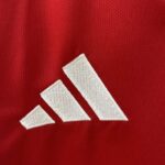 Camiseta Ajax primera equipacion 2024-2025 logo Camiseta Ajax primera equipacion 2024-2025 logo