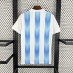camiseta-argentina-retro-primera-equipacion-2018-2019-parte-trasera camiseta-argentina-retro-primera-equipacion-2018-2019-parte-trasera