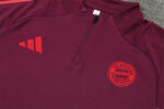 Chandal Bayern Munich Rojo vino 2924-2025 pecho