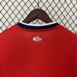 camiseta-lille-primera-equipacion-2024-2025-dorsal-trasero