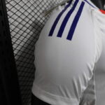 camiseta-lyon-primera-equipacion-version-jugador-2024-2025-puño-derecho camiseta-lyon-primera-equipacion-version-jugador-2024-2025-puño-derecho