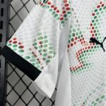 conjunto-niño-portugal-segunda-equipacion-2025-2026-puño-derecho