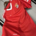 camiseta-benfica-primera-equipacion-2024-2025-axila camiseta-benfica-primera-equipacion-2024-2025-axila