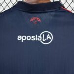 camiseta-cerro-porteno-primera-equipacion-2025-2026-dorsal-trasero camiseta-cerro-porteno-primera-equipacion-2025-2026-dorsal-trasero