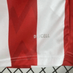 Camiseta PSV Eindhoven Primera Equipación 2025-2026-basta