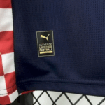 Camiseta PSV Eindhoven Segunda Equipación 2025-2026-basta 1