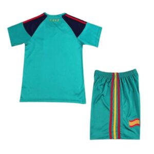 conjunto-niño-españa-portero-retro-2010-parte-trasera