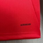 Camiseta Benfica 2025-26 Primera Equipación Manga Larga basta