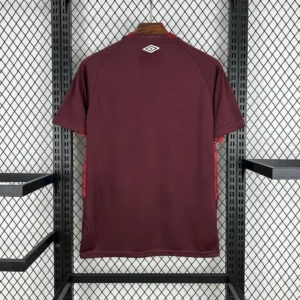 camiseta-lanus-primera-equipacion-2025-2026-parte-trasera