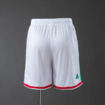 pantalon-corto-mexico-primera-equipacion-mundial-2026-parte-trasera pantalon-corto-mexico-primera-equipacion-mundial-2026-parte-trasera