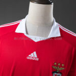 camiseta-benfica-primera-equipacion-retro-2009-2010-cuello camiseta-benfica-primera-equipacion-retro-2009-2010-cuello