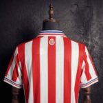 camiseta-chivas-retro-110-aniversario-rojo-2016-2017-cuello-trasero