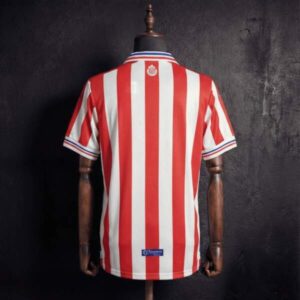 camiseta-chivas-retro-110-aniversario-rojo-2016-2017-parte-trasra