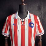 camiseta-chivas-retro-110-aniversario-rojo-2016-2017-pecho