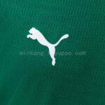 Camiseta Palmeiras Primera Equipación Versión Jugador 26-27 logo