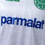 camiseta-palmeiras-segunda-equipacion-retro-1992-1993-pecho camiseta-palmeiras-segunda-equipacion-retro-1992-1993-pecho