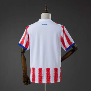 camiseta-paraguay-primera-equipacion-mundial-2026-parte-trasera