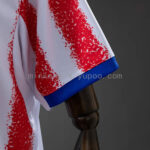camiseta-paraguay-primera-equipacion-mundial-2026-puño