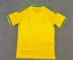 camiseta-sudafrica-primera-equipacion-mundial-2026-parte-trasera camiseta-sudafrica-primera-equipacion-mundial-2026-parte-trasera