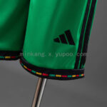 conjunto-niño-jamaica-primera-equipacion-mundial-2026-parte-inferior