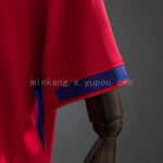 camiseta-noruega-primera-equipacion-mundial-2026-puño camiseta-noruega-primera-equipacion-mundial-2026-puño