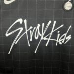 camiseta-tottenham-hotspur-stray-kids-segunda-equipacion-2025-2026-pechoo camiseta-tottenham-hotspur-stray-kids-segunda-equipacion-2025-2026-pechoo