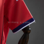 conjunto-niño-escocia-segunda-equipacion-mundial-2026-puño