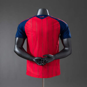 camiseta-españa-primera-equipacion-2-estrellas-version-jugador-mundial-2026-parte-trasera